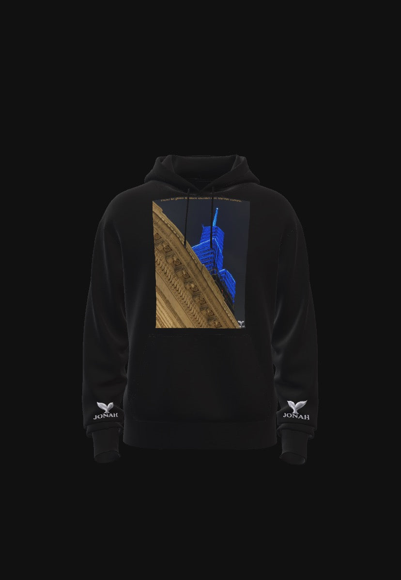 D013) Sweat À Capuche Ailes (Il Ne Faut Pas Jeter La Pierre Quand On Habite Une Maison De Verre) / Wings Hoodie (Those In Glass Houses Should Not Throw Stones)