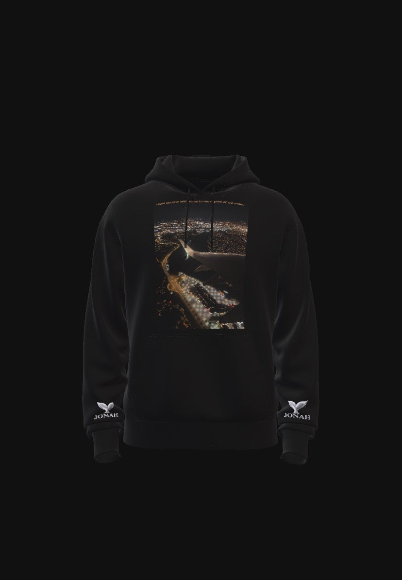 D008) Sweat À Capuche Ailes (Je Me Suis Pincé le Nez Et J'ai Nagé Jusqu'aux Profondeurs De l'Océan) / Wings Hoodie (I Held My Nose And Swam To The Depths Of The Ocean)
