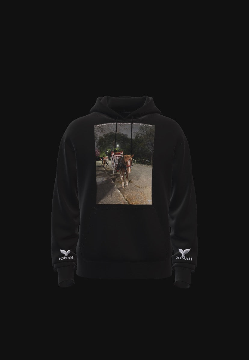 D012) Sweat À Capuche Ailes (Ils Ne Vous Aimaient Pas À L'Époque, Et Ils Ne Vous Aiment Pas Aujourd'Hui) / Wings Hoodie (They Didn’t Like You Then, And They Don’t Like You Now)