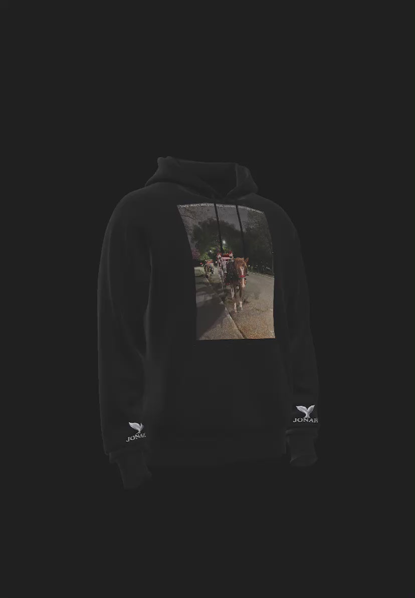 D012) Sweat À Capuche Ailes (Ils Ne Vous Aimaient Pas À L'Époque, Et Ils Ne Vous Aiment Pas Aujourd'Hui) / Wings Hoodie (They Didn’t Like You Then, And They Don’t Like You Now)